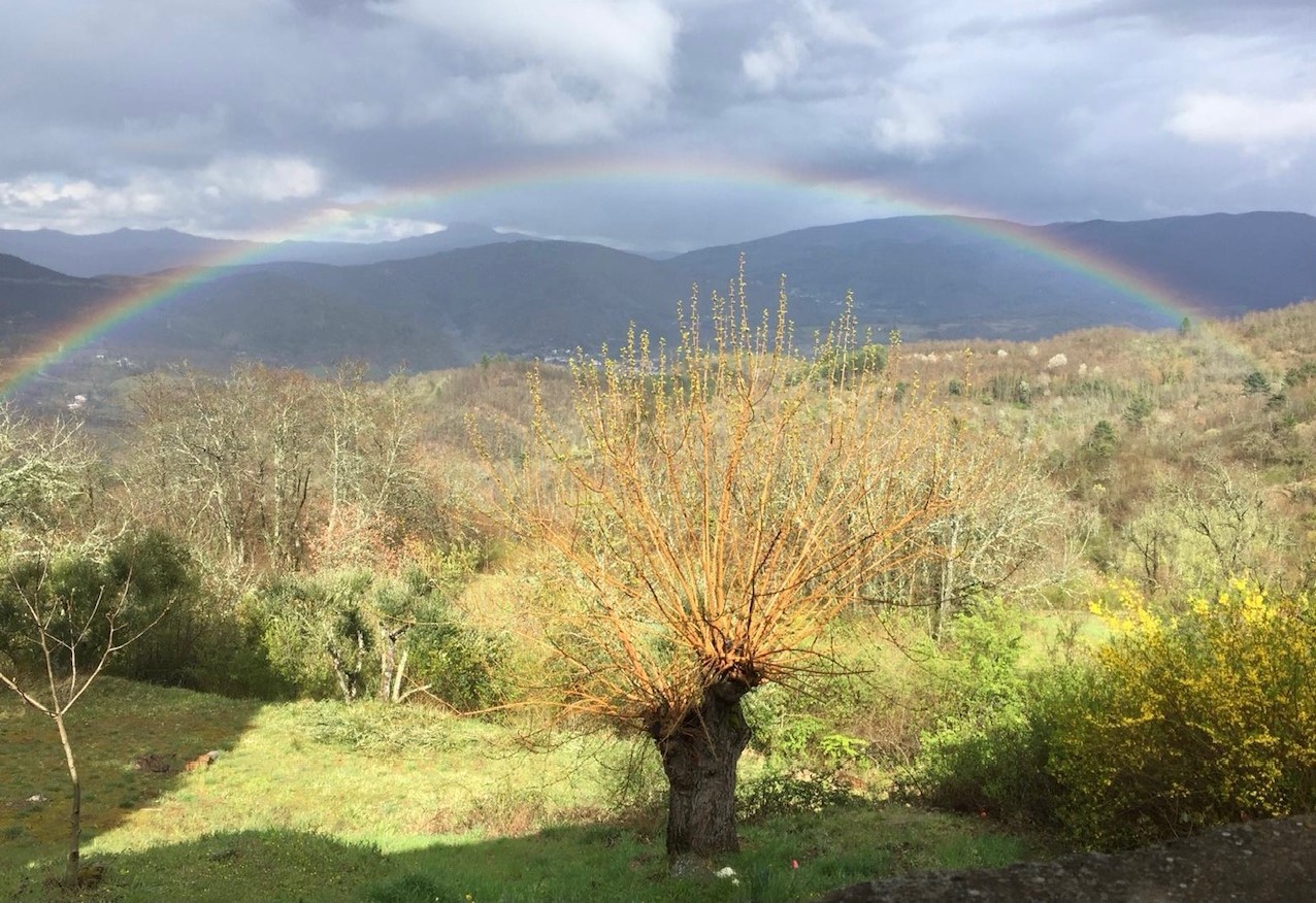 Arcobaleno - Foto di Serena Bet