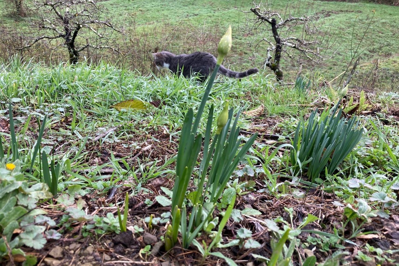 Vita in campagna, natura - Foto di Serena Betti